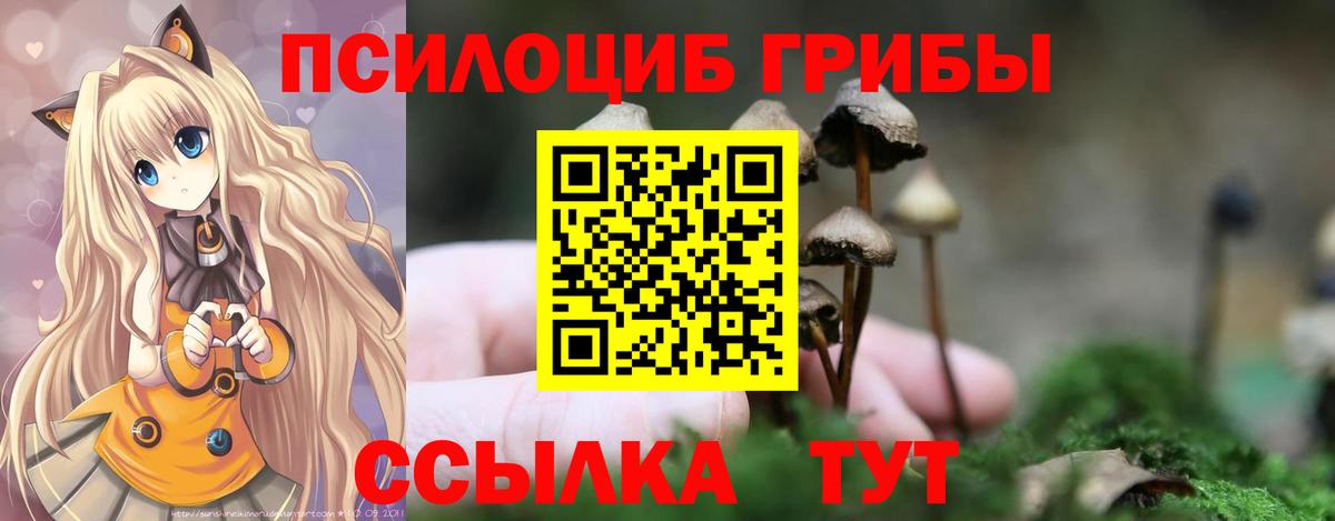 Галлюциногенные грибы прущие грибы Тулун